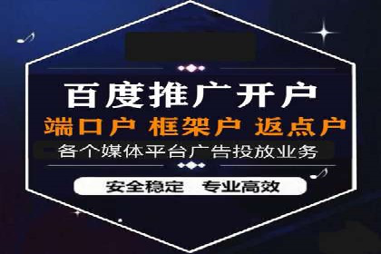 XX行业竞价广告的投放策略与效果分析